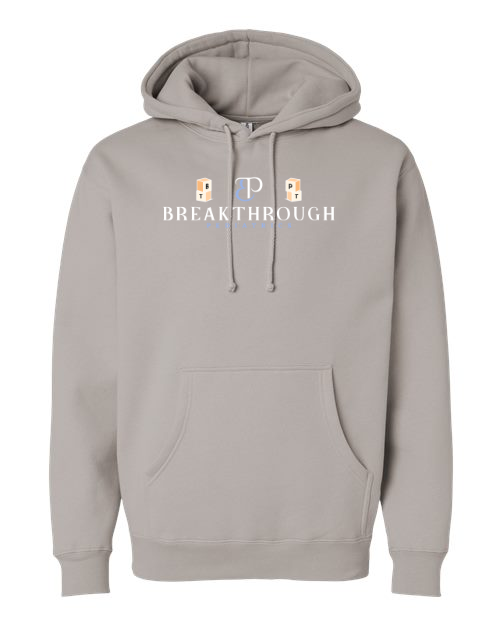 BT peds hoodie - independent trading co - adult