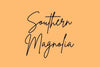 Southern Magnolia Boutique 