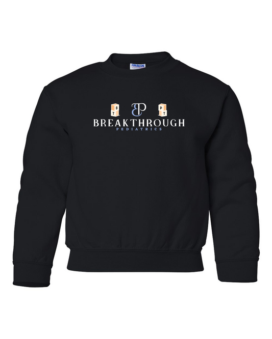 BT peds sweatshirt youth